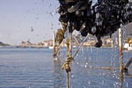 la spezia